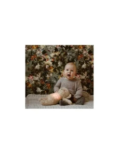Moonie Peluche veilleuse musicale ourson Cappuccino - New