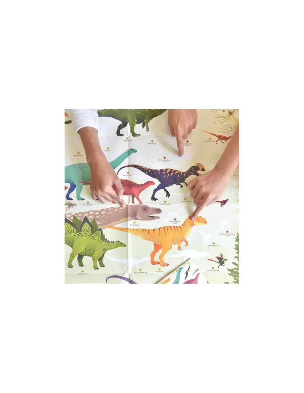Poppik Poster en stickers dinosaures -