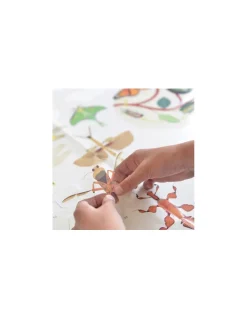Poppik Poster en stickers insectes - Best