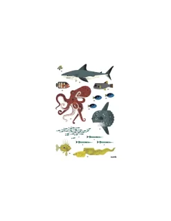 Poppik Poster en stickers océans - Clearance