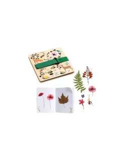 Djeco Presse et herbier à créer Petit botaniste - Do it Yourself Hot