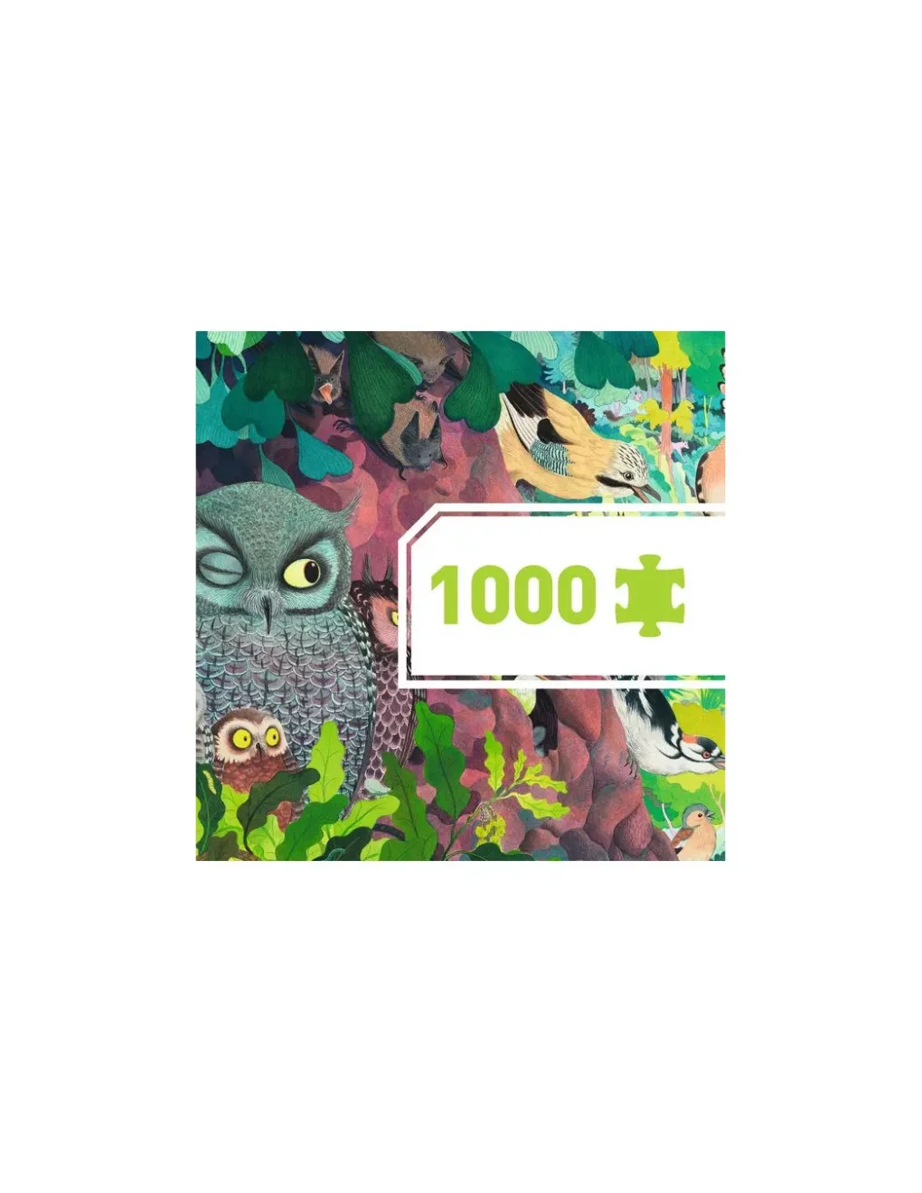 Djeco Puzzle gallery Owls and birds 1000 pièces - Best