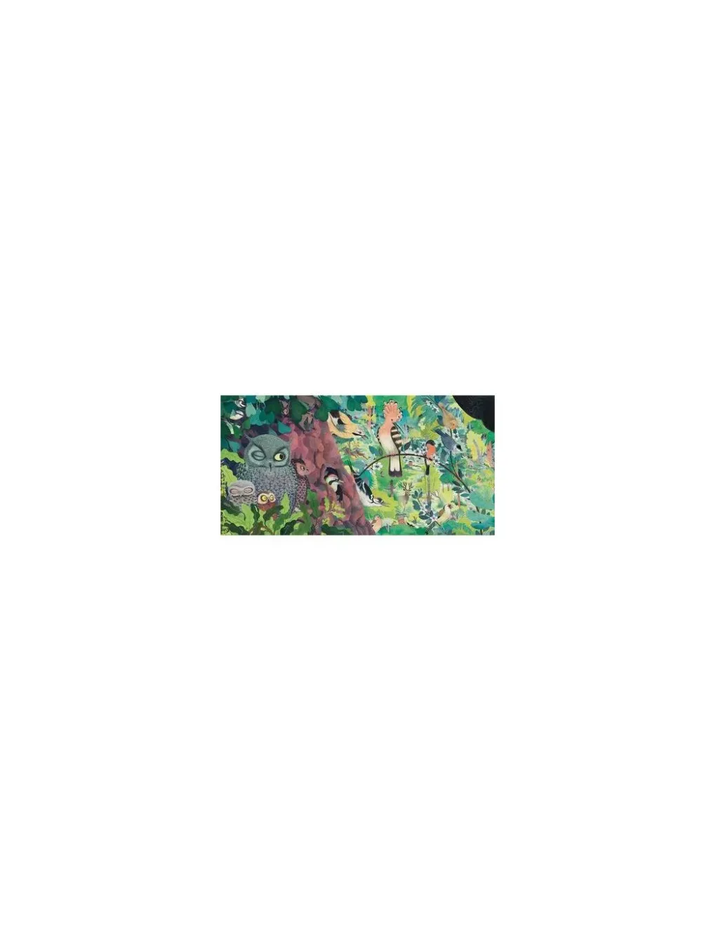 Djeco Puzzle gallery Owls and birds 1000 pièces - Best