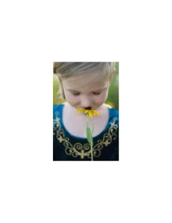 Great Pretenders Robe reine Guenièvre turquoise 4-6 ans - Best