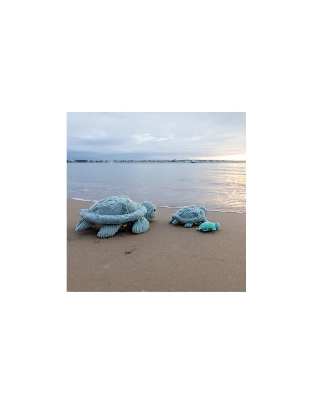 Les Deglingos Sauvenou la tortue géante menthe - Les Ptipotos by Déglingos Discount
