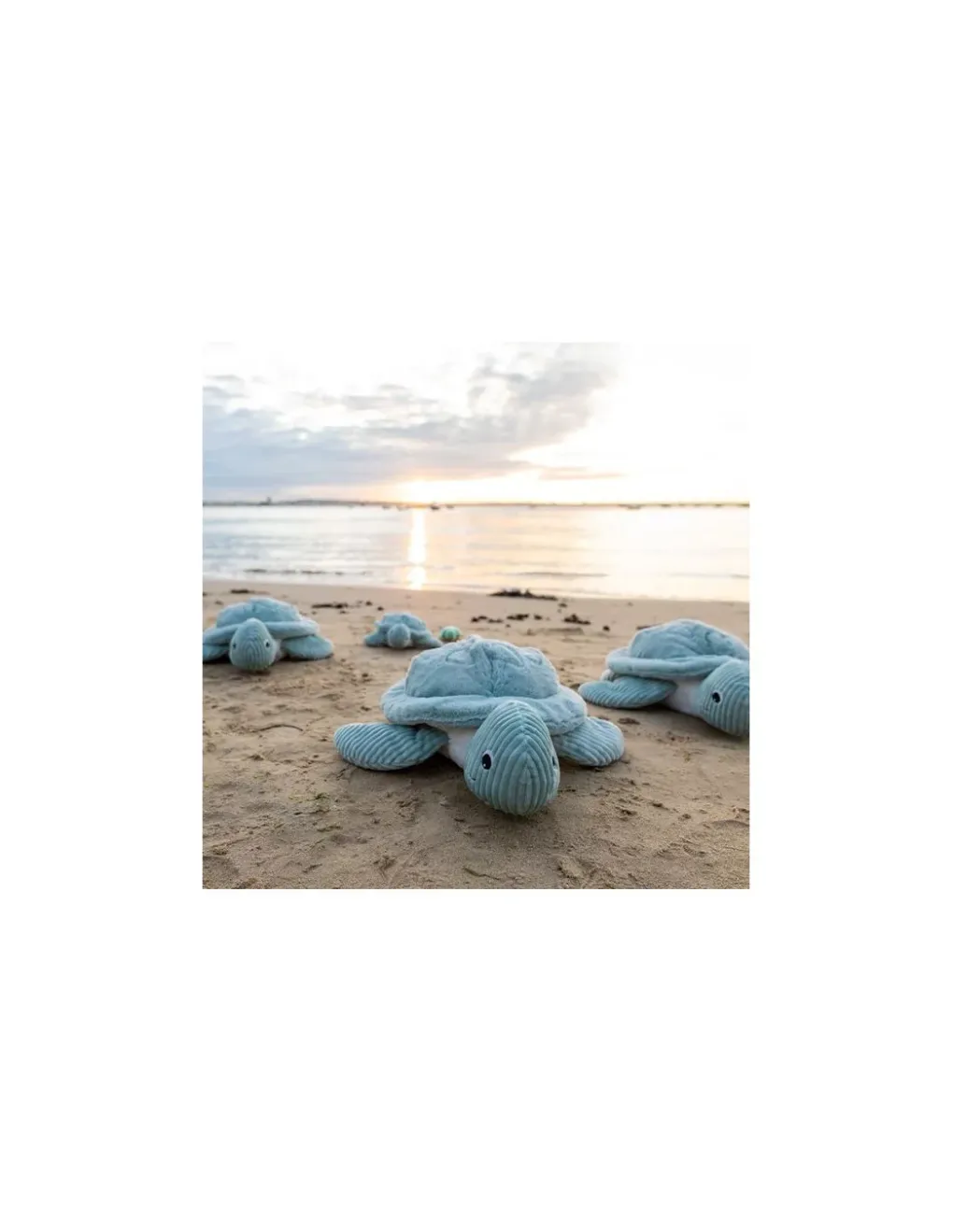 Les Deglingos Sauvenou la tortue géante menthe - Les Ptipotos by Déglingos Discount