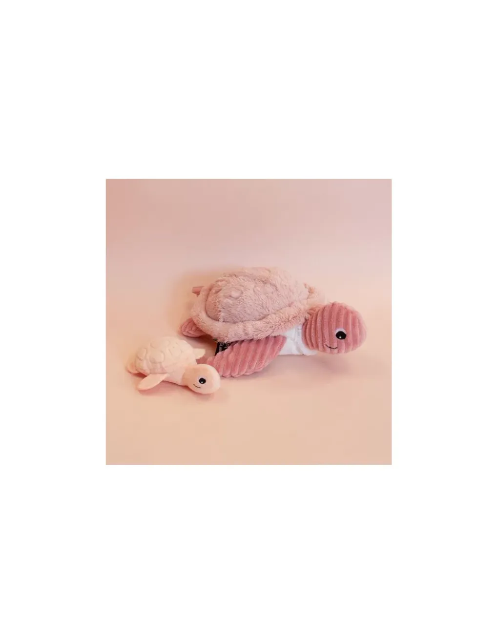 Les Deglingos Sauvenou la tortue rose - Les Ptipotos by Déglingos New