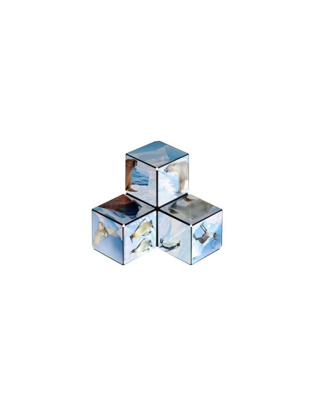 Blackrock Games Shashibo Arctic Hot