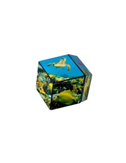 Blackrock Games Shashibo Océan Hot