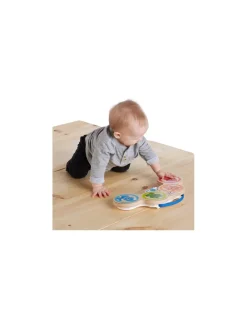 Hape Toys Tambours magic touch Baby Einstein - Hape Best