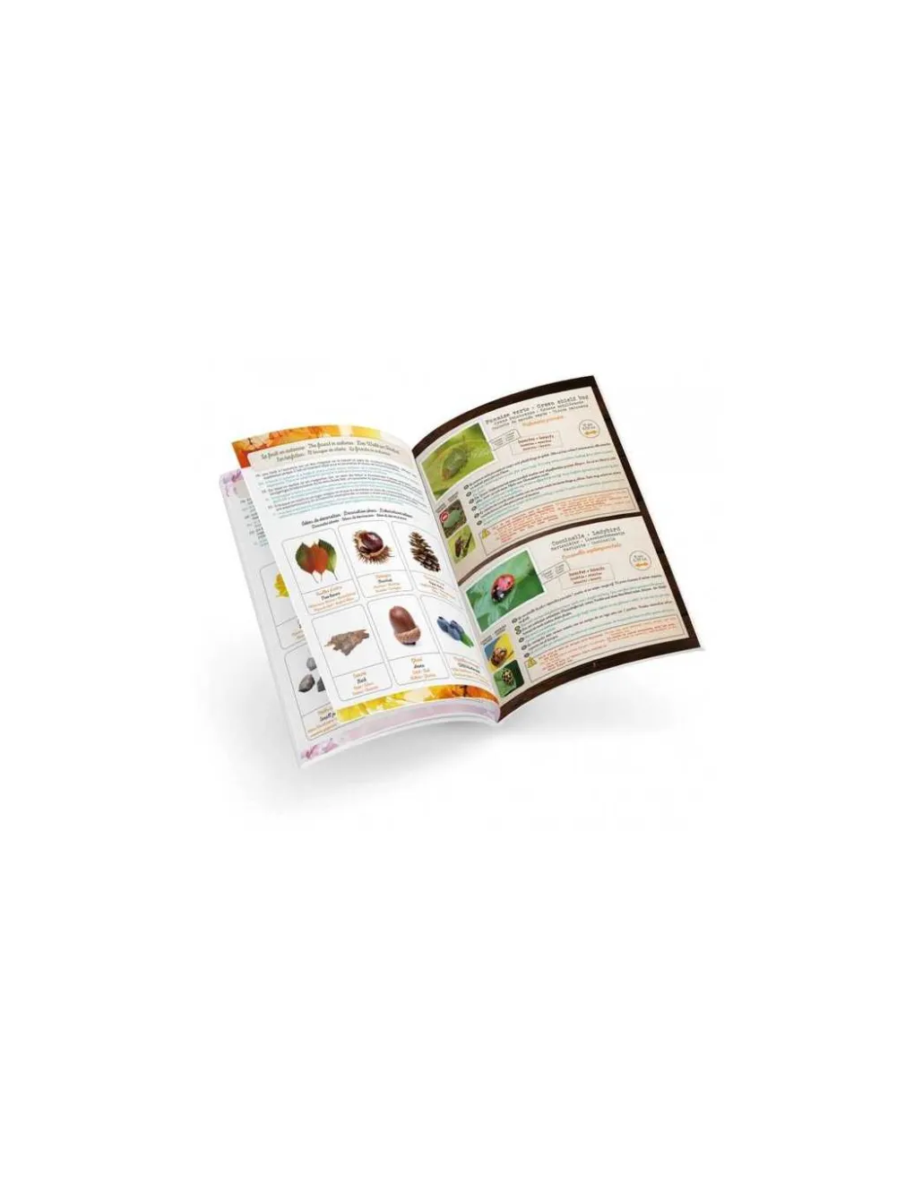 Buki France Terrarium - Buki Best