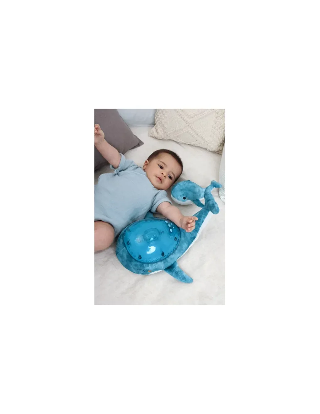 Cloud b Tranquil whale blue family Peluche musicale à projections - Discount